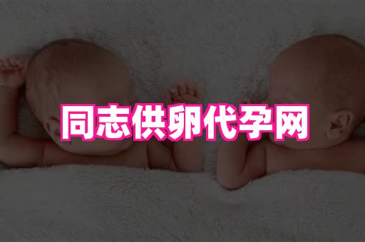香港助孕网 4